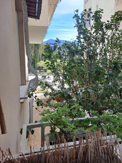 Δίπλα Στο Πάρκο Apartment Kalamata Exterior foto